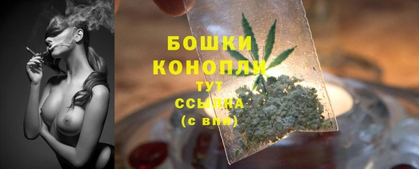 spice Горнозаводск