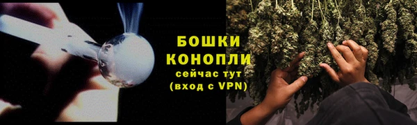 скорость Гусев