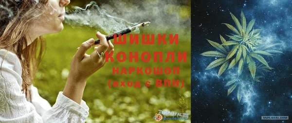скорость Гусев