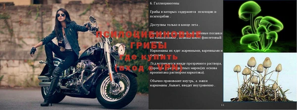 скорость Гусев